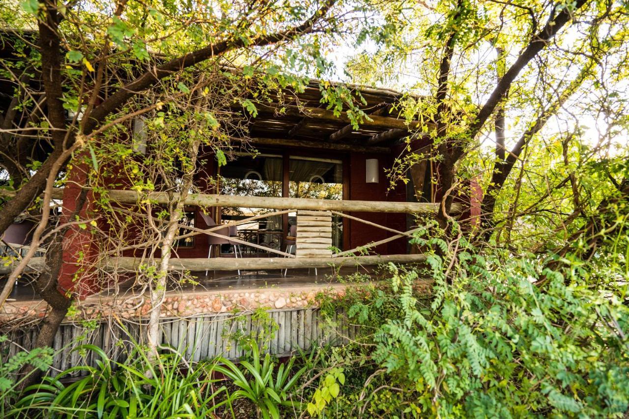 Hakunamatata Lodge & Health Spa/ Wedding & Conference Venue Muldersdrift Esterno foto